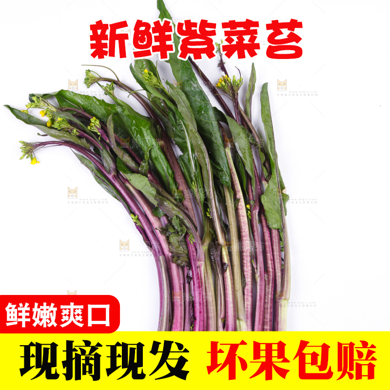 白底上放着紫菜苔
