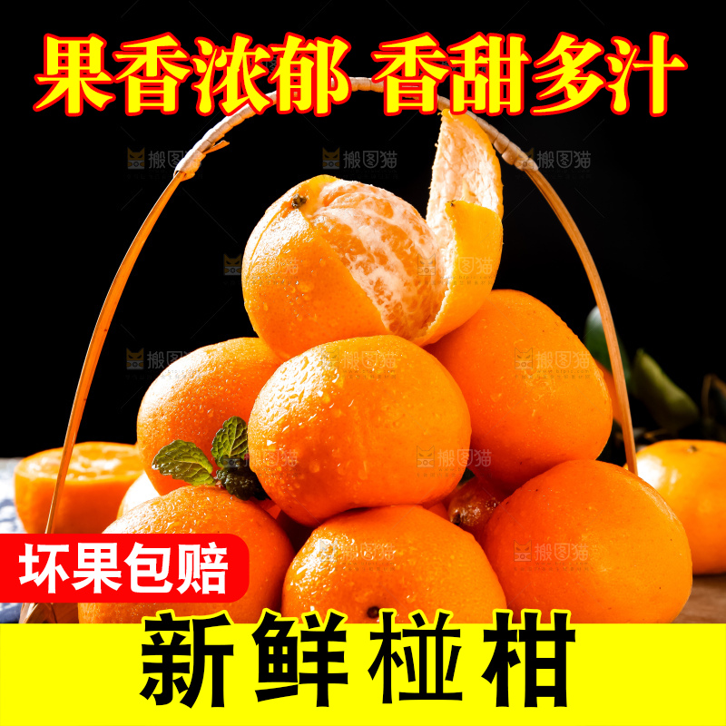 篮子里的广西椪柑