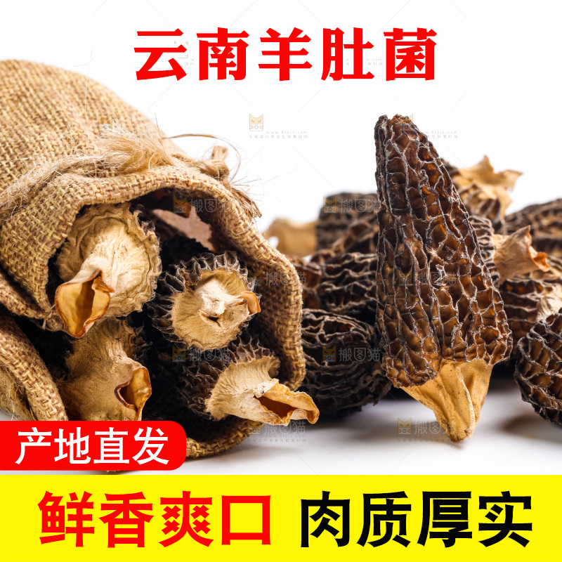 浅底上放着干羊肚菌