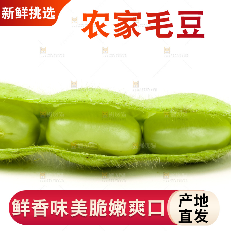 白底上的毛豆