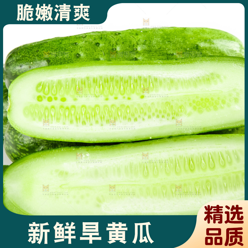 白底上的旱黄瓜