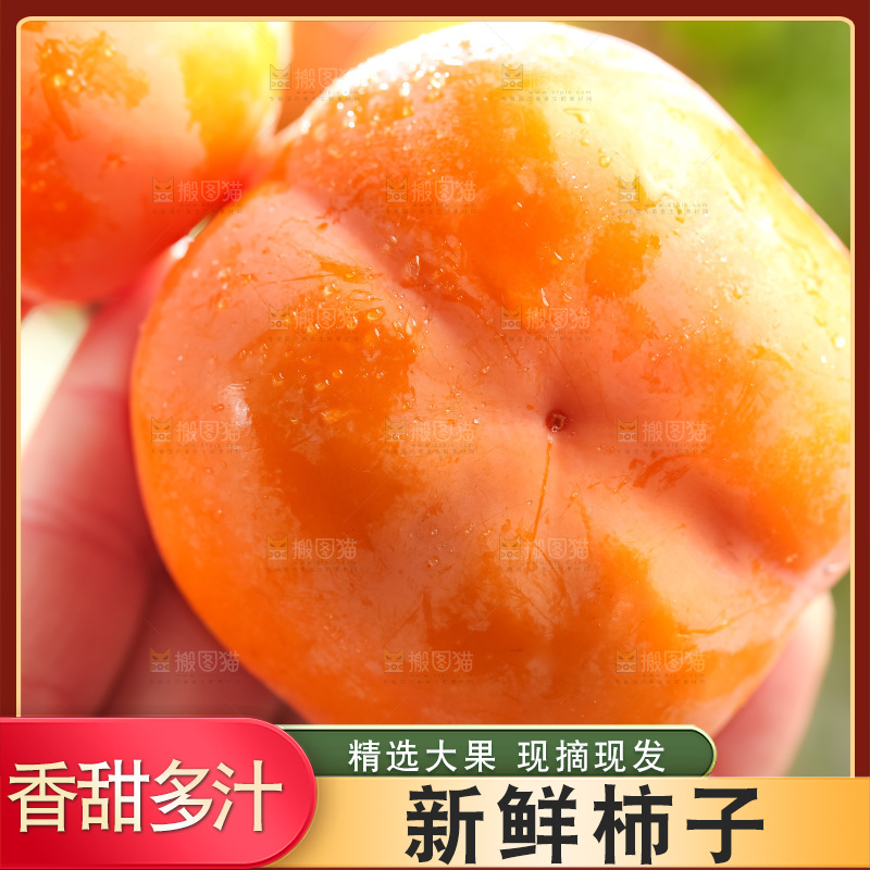 手里拿着新鲜柿子