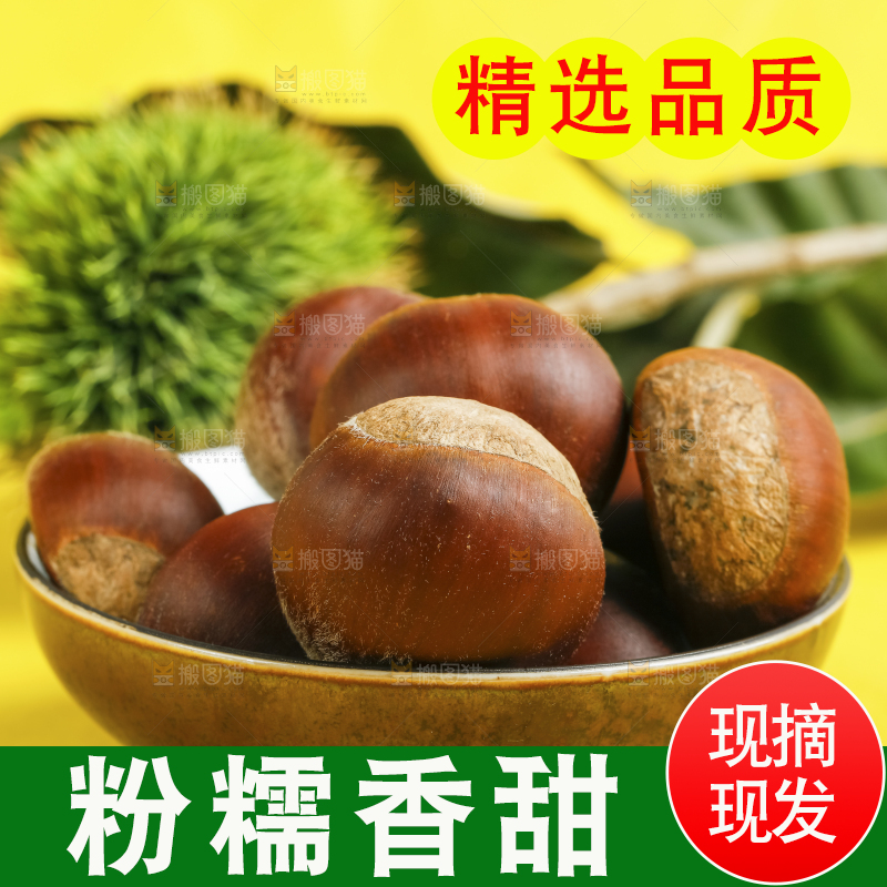 黄底上的迁西板栗