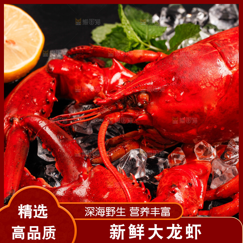 黑底上的大龙虾
