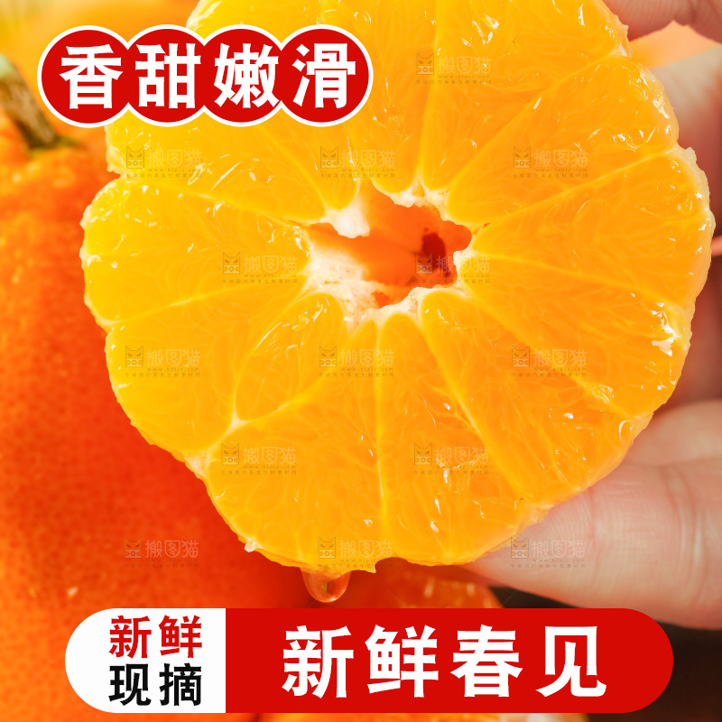 手里拿着新鲜春见