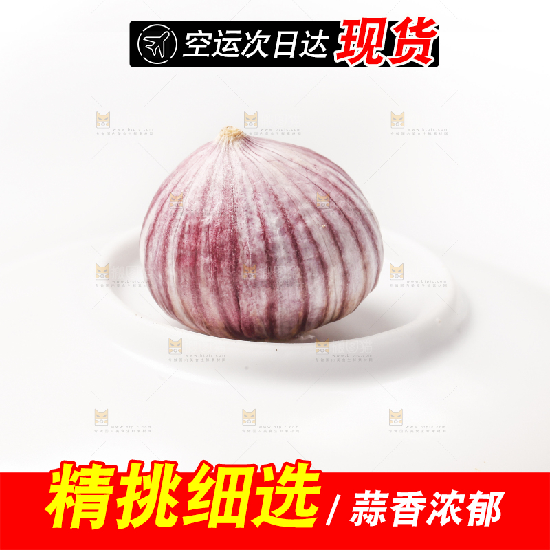 浅底上的独蒜