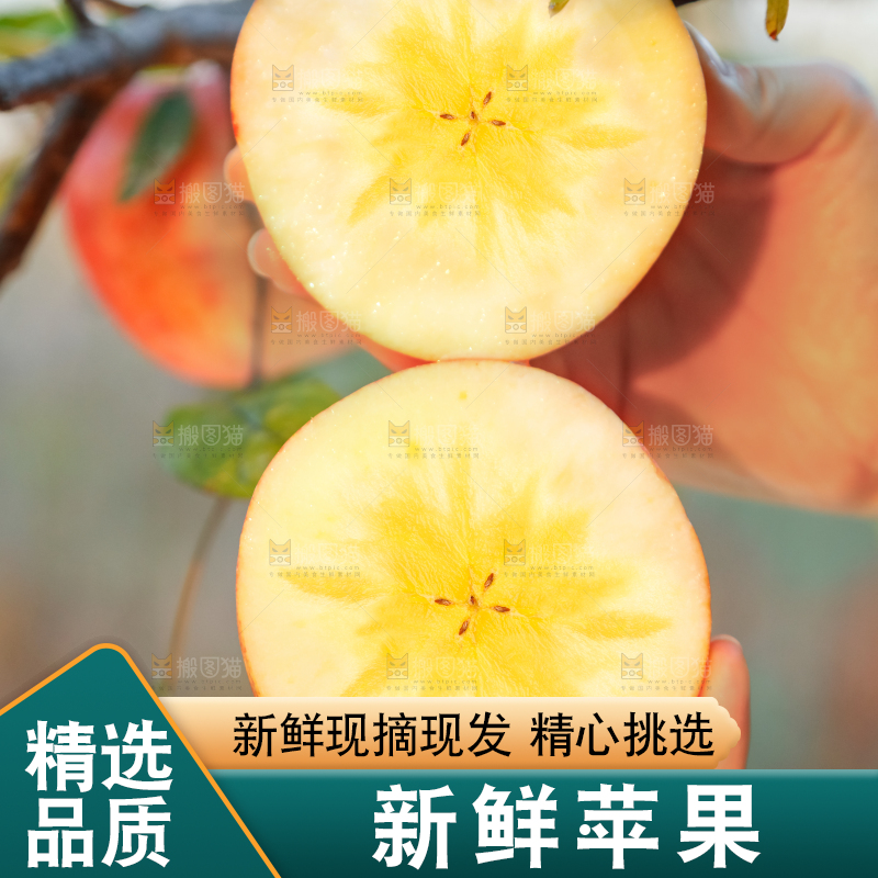 手里拿着新疆冰糖心苹果