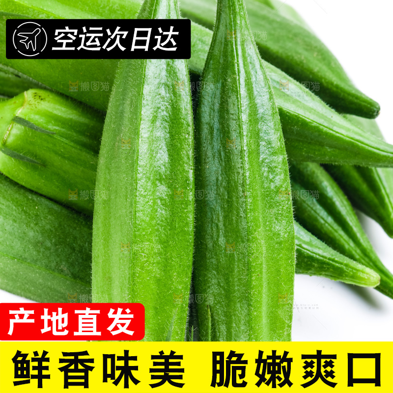 白底上的新鲜秋葵