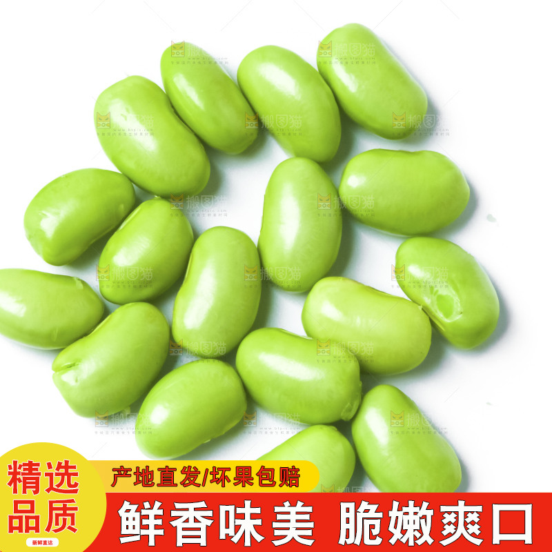白底上的毛豆