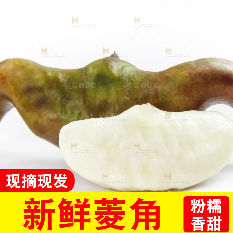 白底上的新鲜菱角