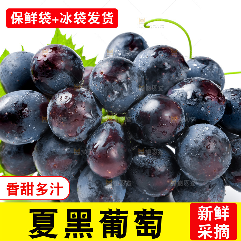 白底上的夏黑葡萄