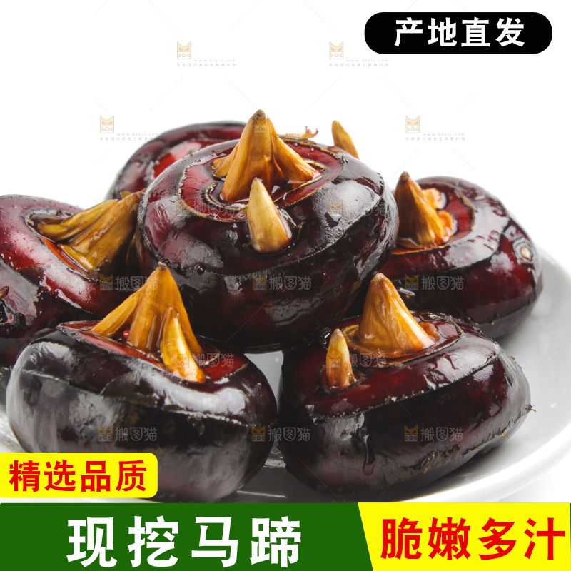 白底上摆放着广西荔浦马蹄