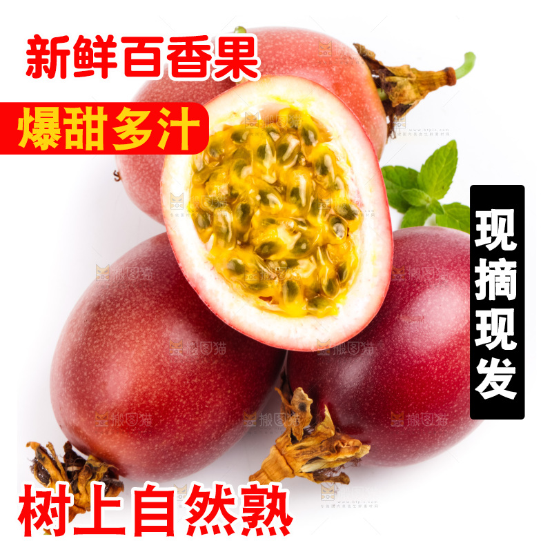 紫皮百香果放在白底上