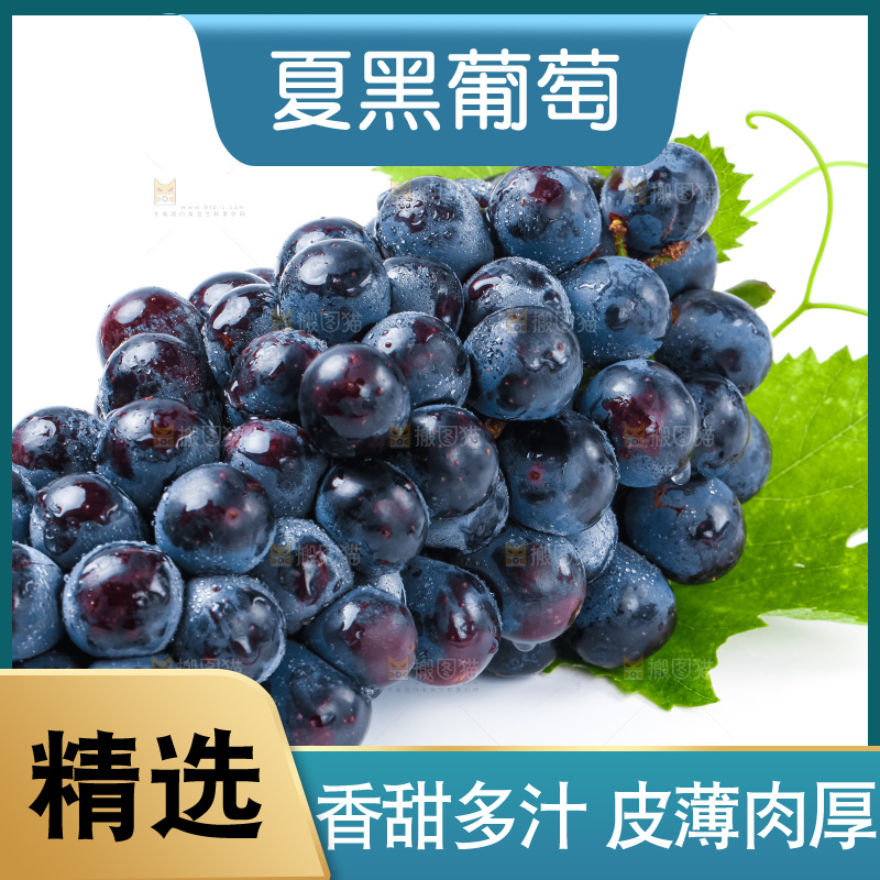 白底上的夏黑葡萄