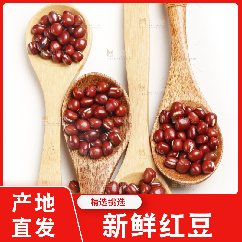 勺子里装着东北红豆
