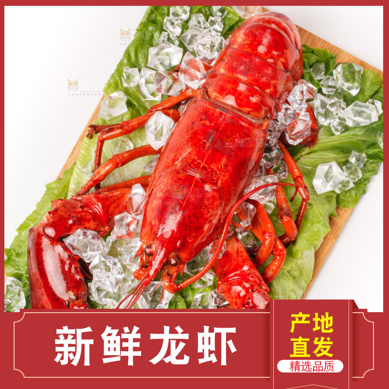 白底上放着一盘波士顿大龙虾
