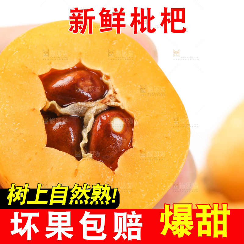 手里拿着新鲜枇杷