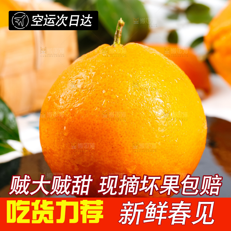 黑石板上的春见耙耙柑