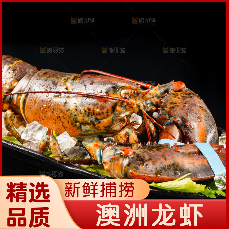 黑底上放着一盘大龙虾