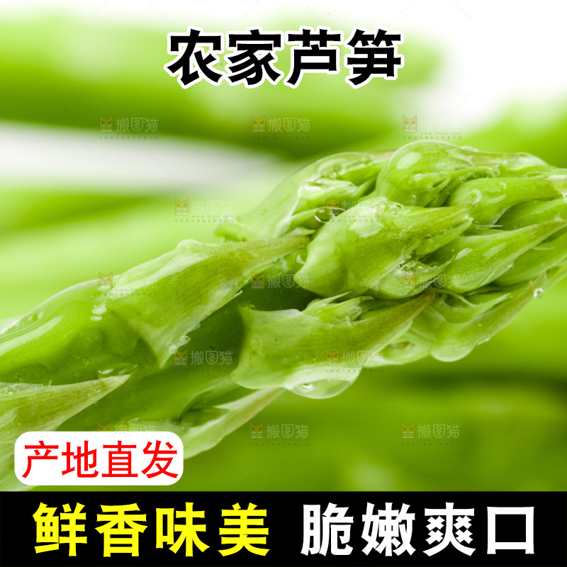 白底上的芦笋