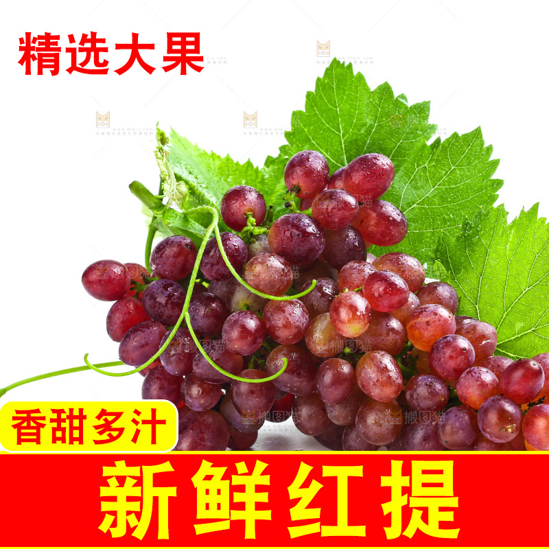 白底上的红提
