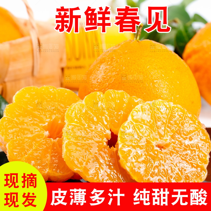 黑石板上的春见耙耙柑