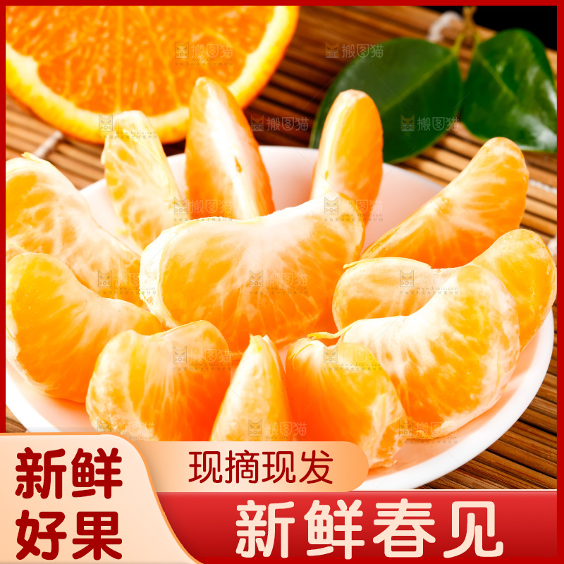 竹底上的春见耙耙柑