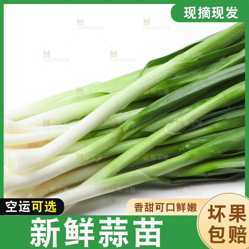 白底上放着蒜苗
