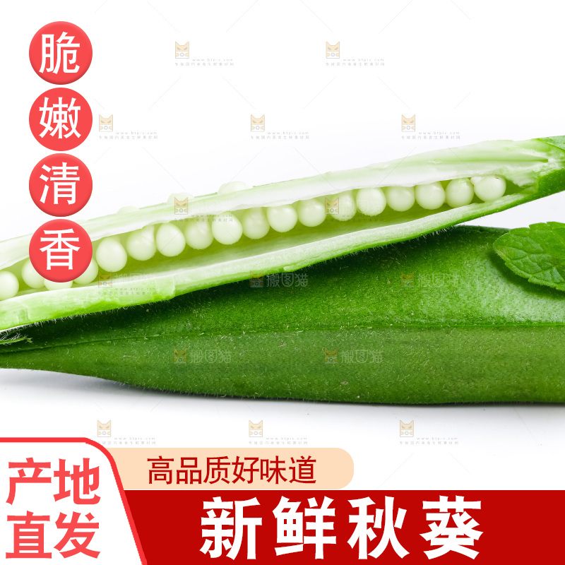 白底上的新鲜秋葵