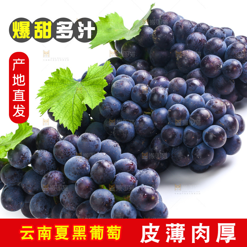 白底上的夏黑葡萄