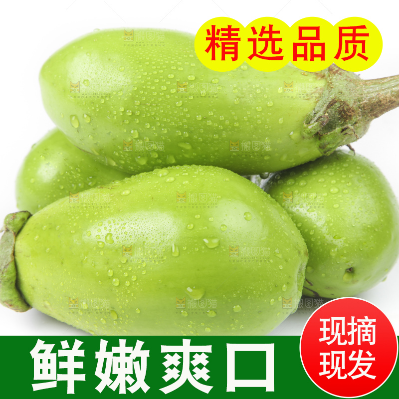 白底上放着青皮茄子