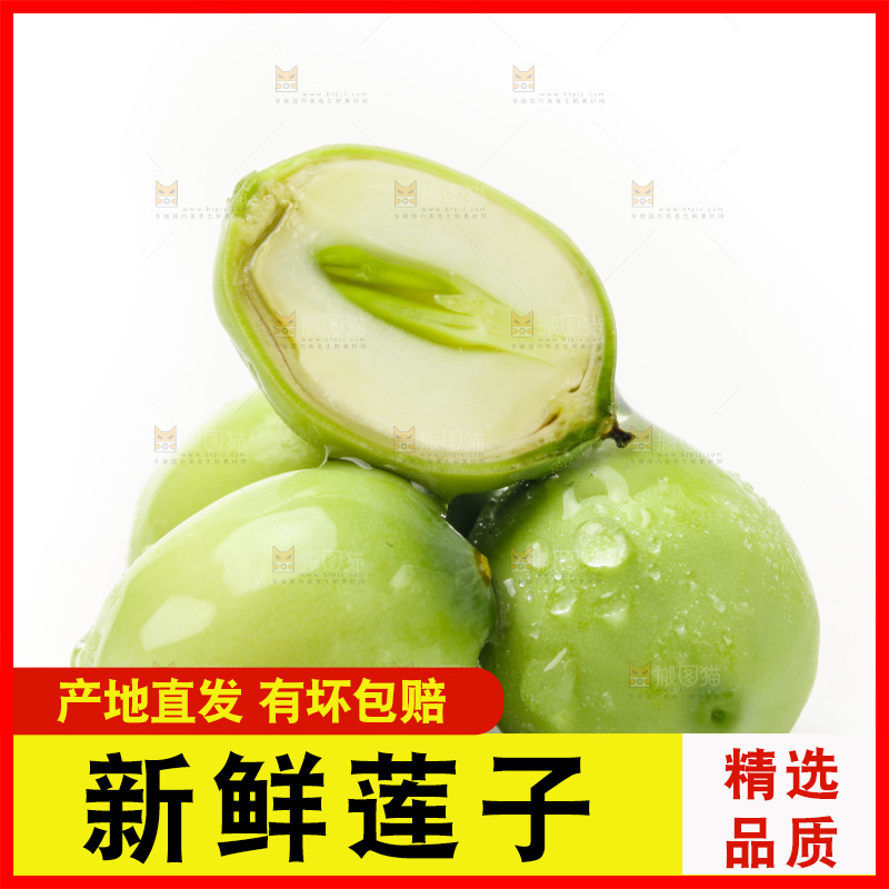 白底上的新鲜莲子