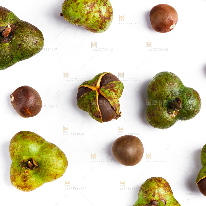 白底上摆放着茶树果