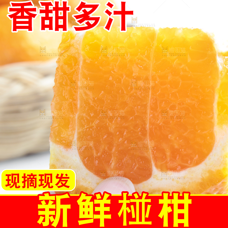白底上放着四川椪柑