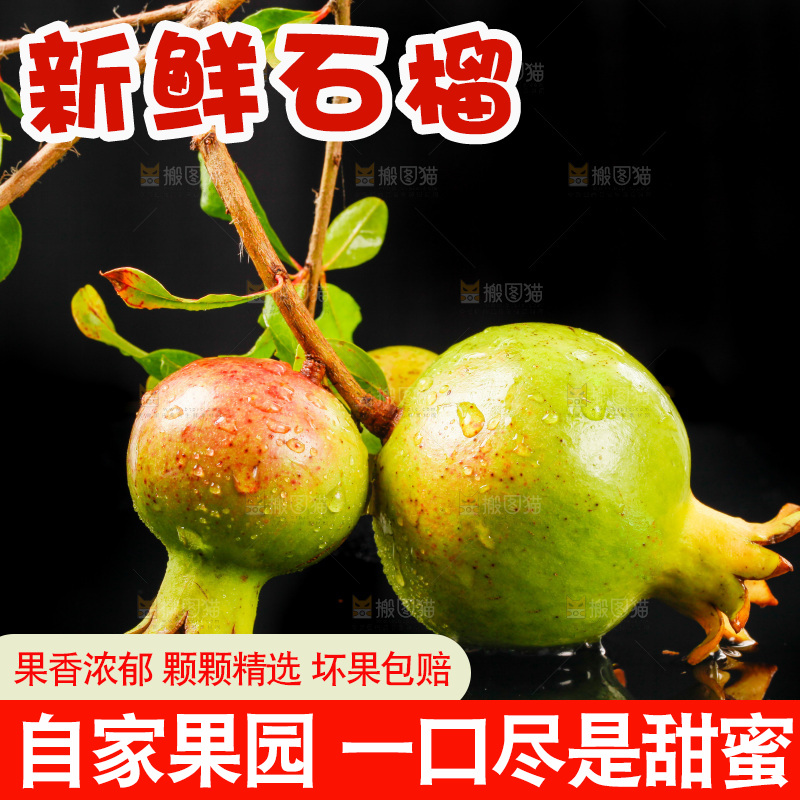 黑底上放着软籽石榴