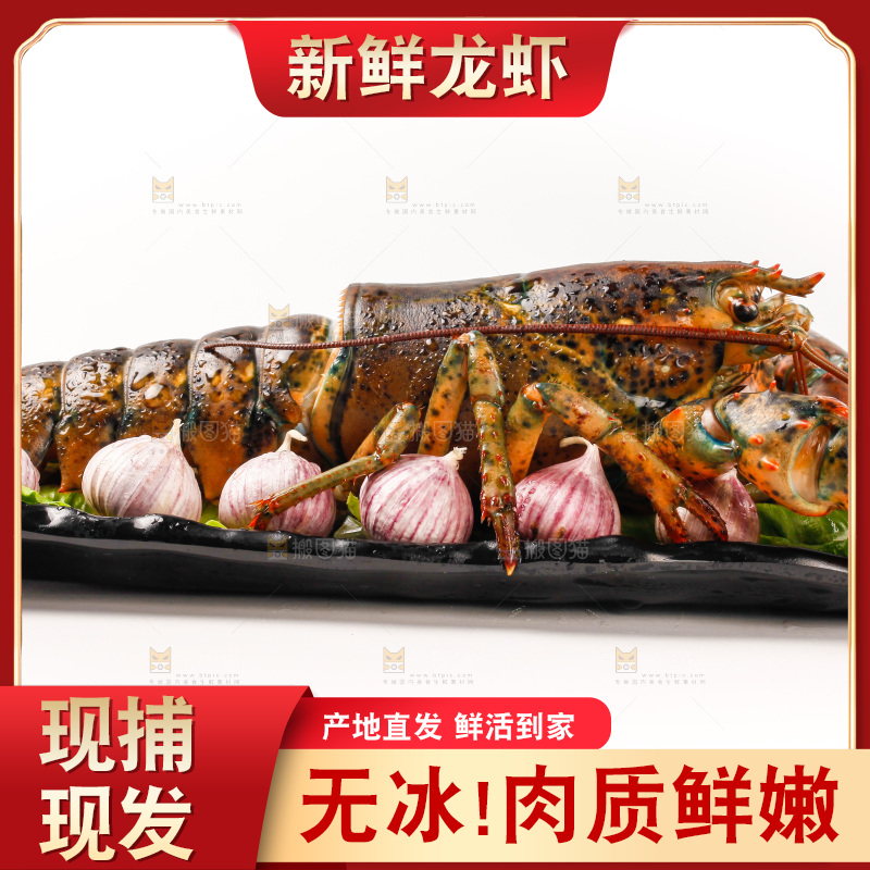 白底上放着一盘澳洲龙虾
