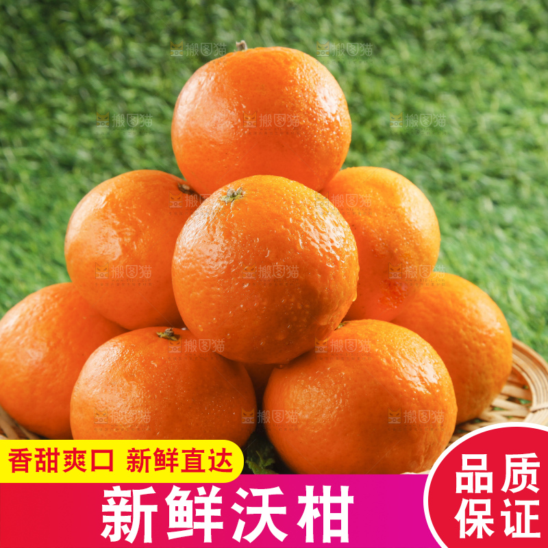 草地上放着贵妃柑