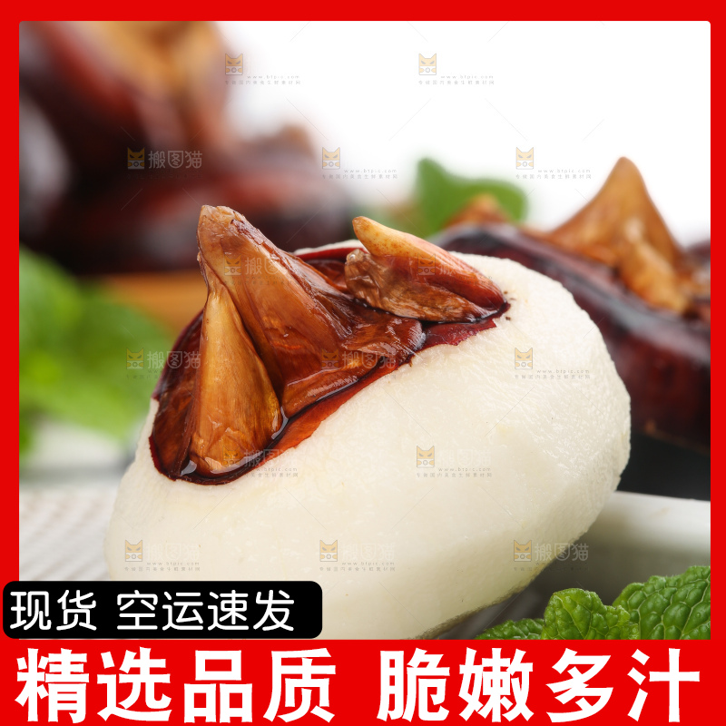 浅底上的马蹄果