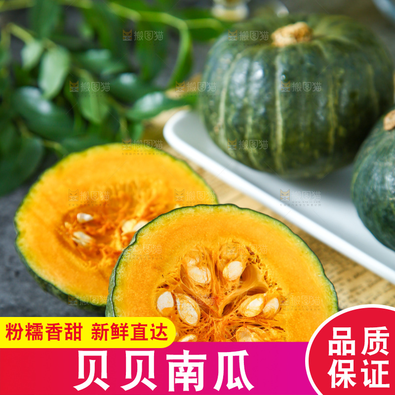 石板上的真贝贝南瓜