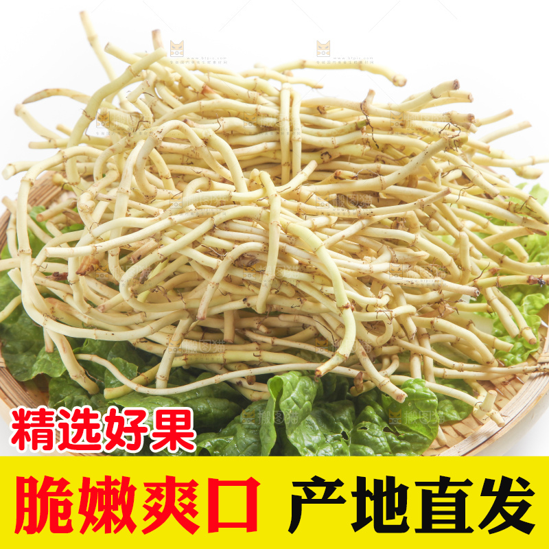 篮子里装着鱼腥草