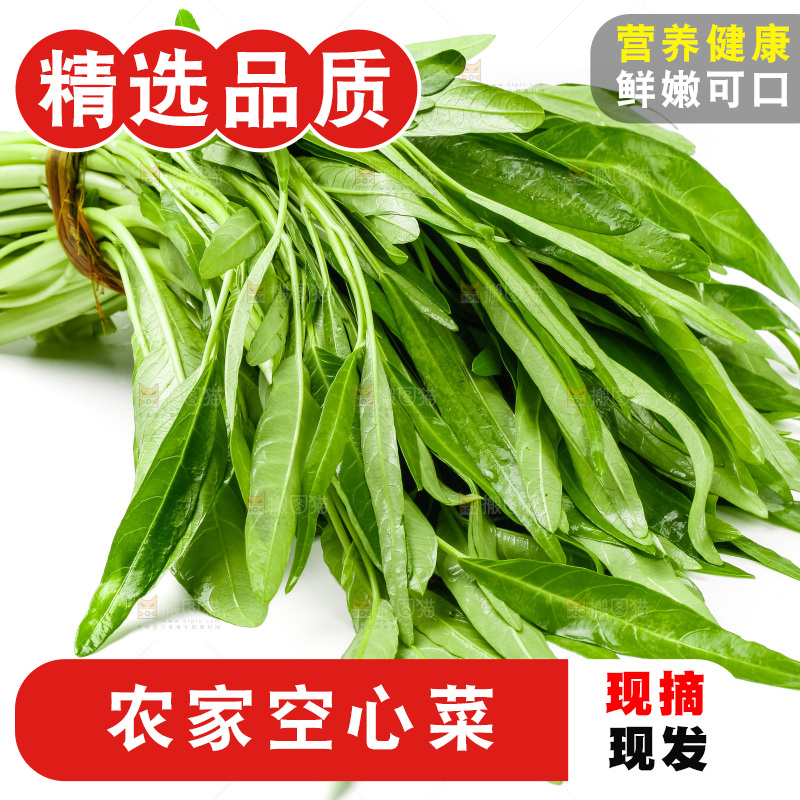 白底上放着新鲜空心菜