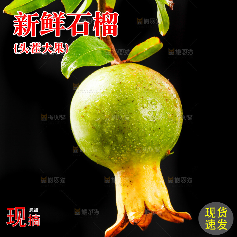 黑底上放着软籽石榴