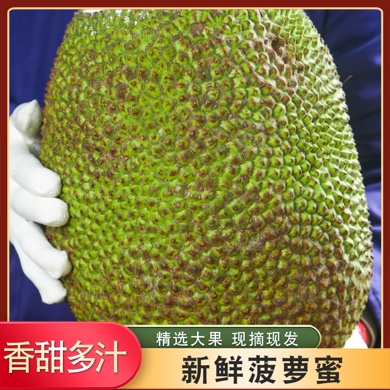 浅底上的泰国红心菠萝蜜