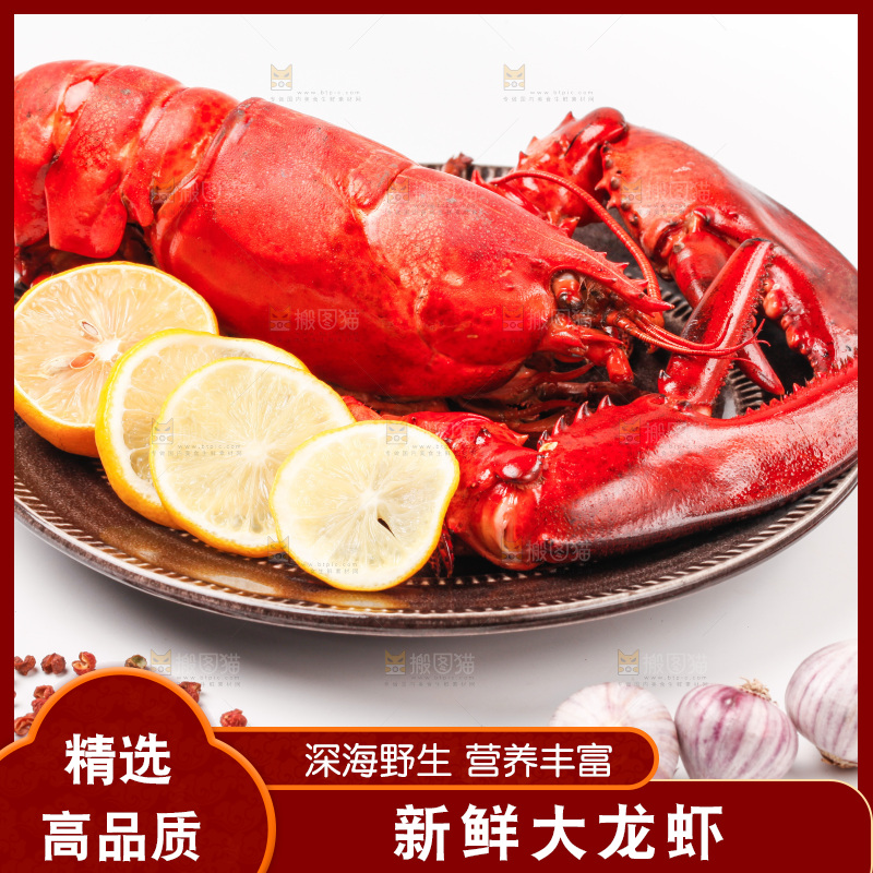 白底上放着波士顿大龙虾