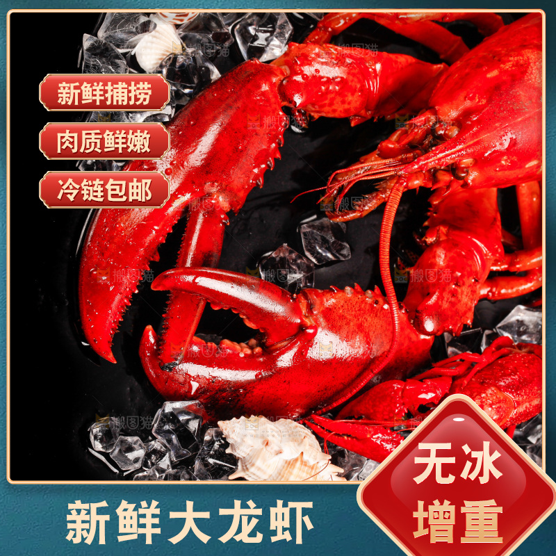 黑底上的大龙虾