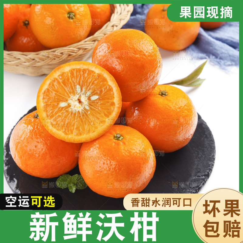 石板上的沃柑