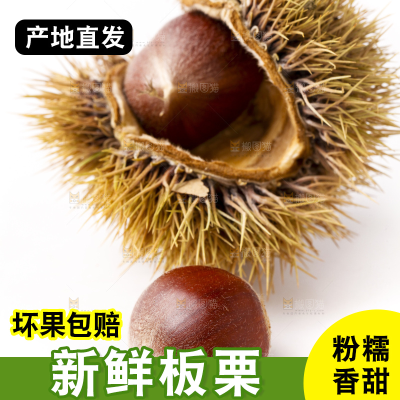 白底上放着迁西板栗