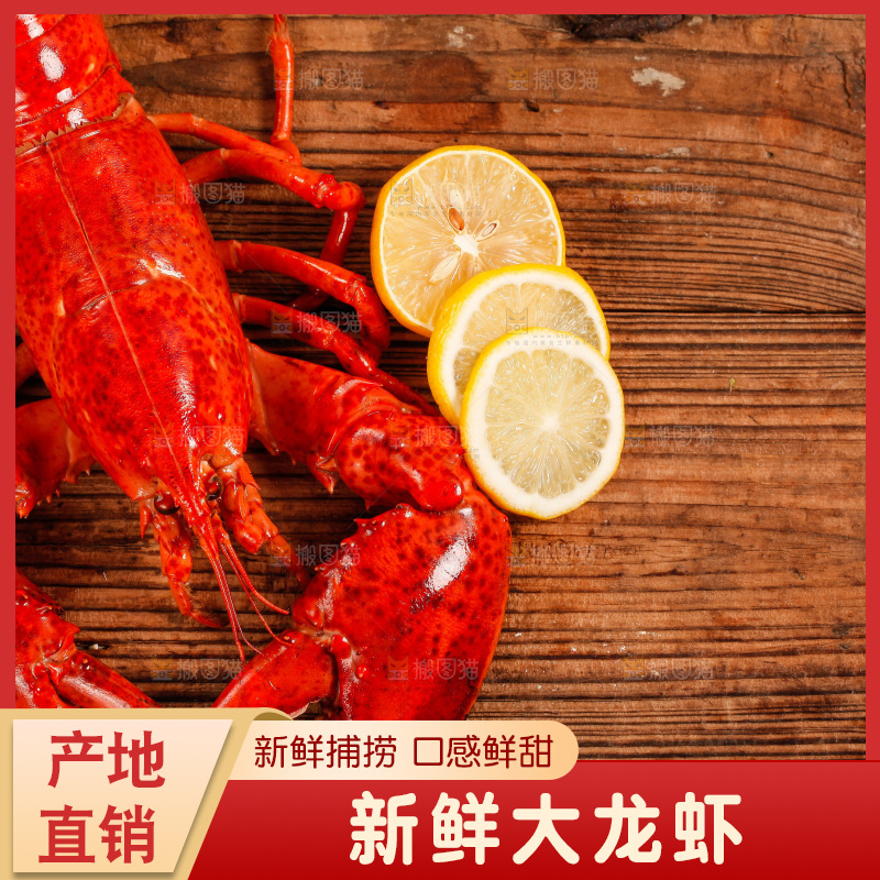 木底上放着大龙虾