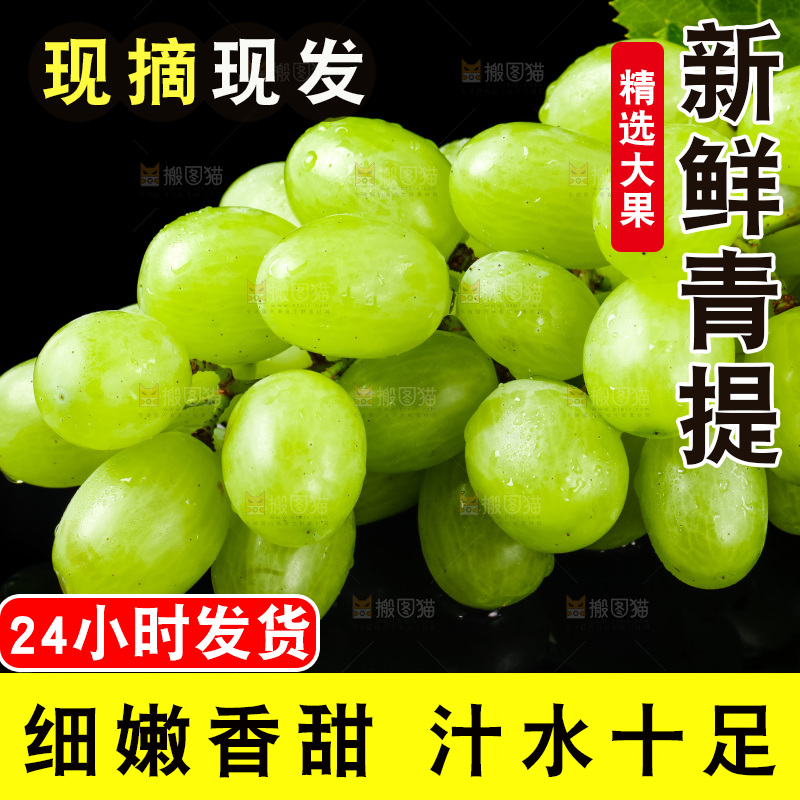 黑底上放着青提子