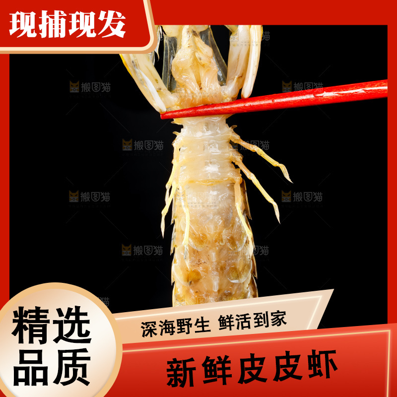 筷子上夹着虾姑